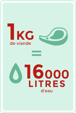 1 kg de viande = 16 000 litres d'eau.